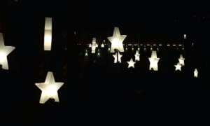 "Night Sky Brilliance: A Star Light That Enchants"