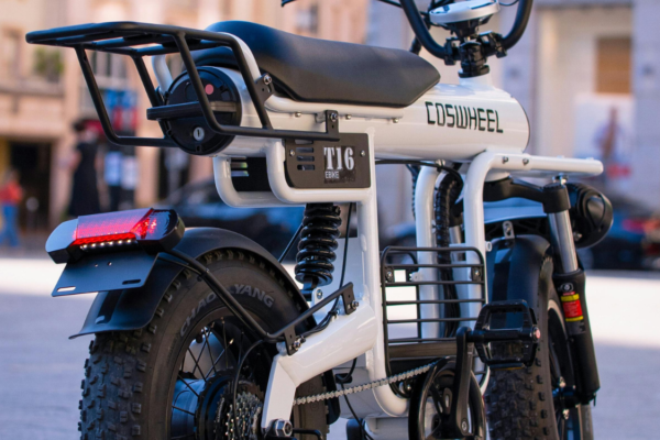 Power Meets Sustainability: The Electric Two-Wheeler Evolution