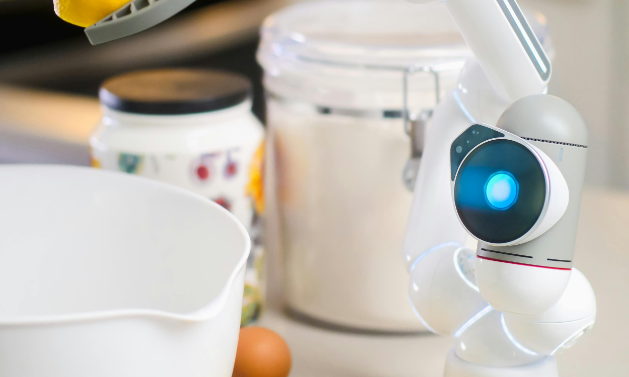 "Robotic Revolution: Japan's Ingenious Food Automation Designs"