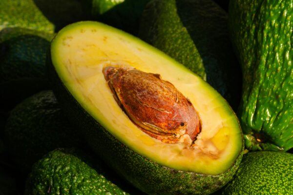 Brain Boosting Foods: Eat Smart for Sharper Focus
