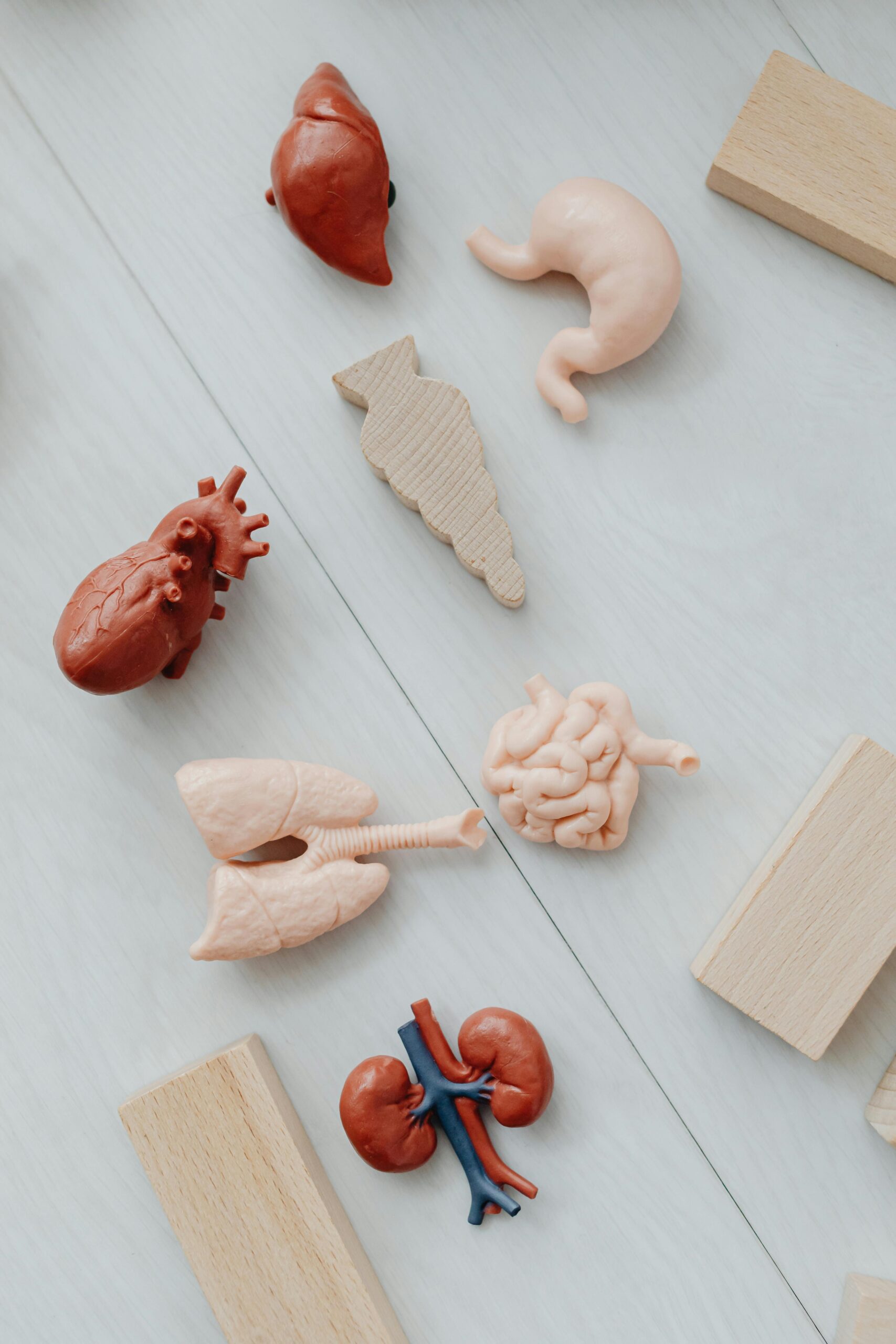 Heart Health Foods: Smart Choices for a Healthy Lifestyle