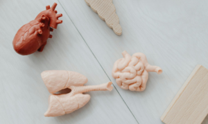 The Silent Attack: 8 Hidden Foods That Damage Nerve Health