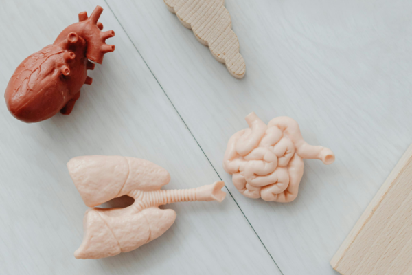The Silent Attack: 8 Hidden Foods That Damage Nerve Health