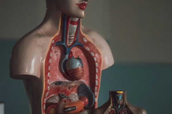 “Fatty Liver Explained: The Hidden Impact of Poor Lifestyle Choices”