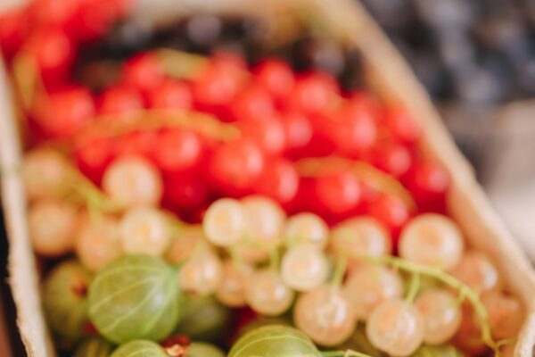 medicine for the rest of your life