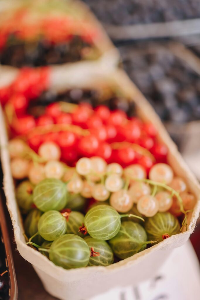 medicine  for the rest of your life